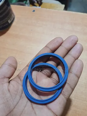 Dust Seals and Hydraulic Seals