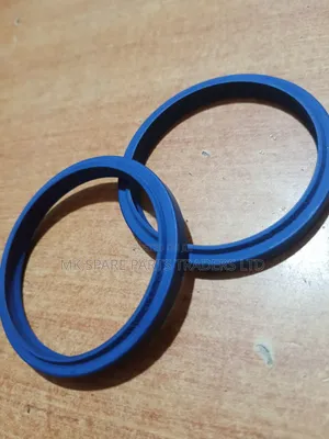 Dust Seals and Hydraulic Seals
