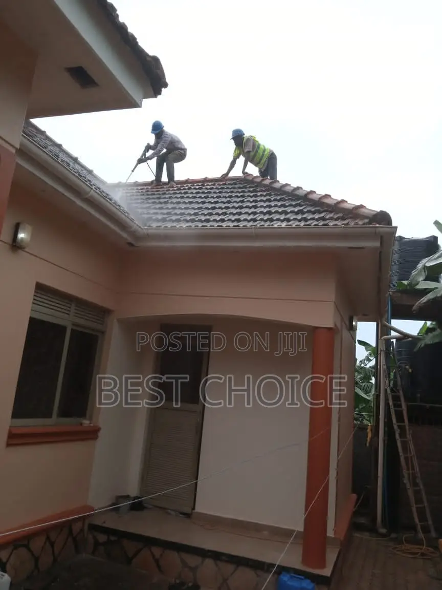 Cleaning Your Roofs Passionately.