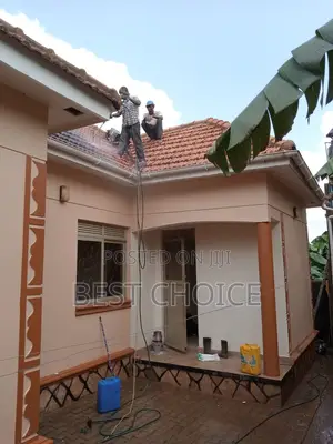 Cleaning Your Roofs Passionately.