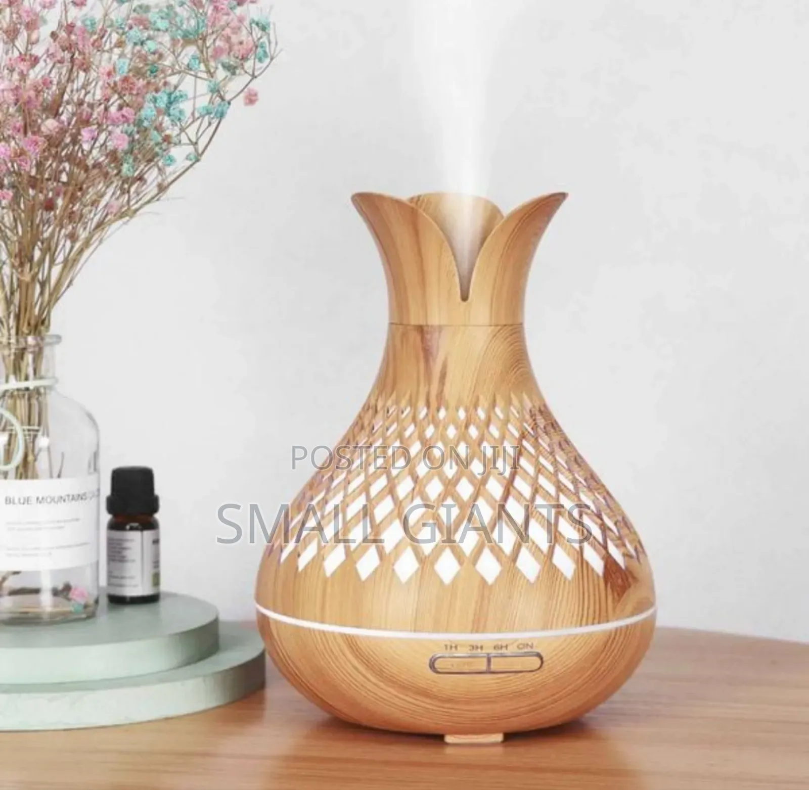 Essential Oil Aroma Diffuser Remote-Vase Flower Humidifier
