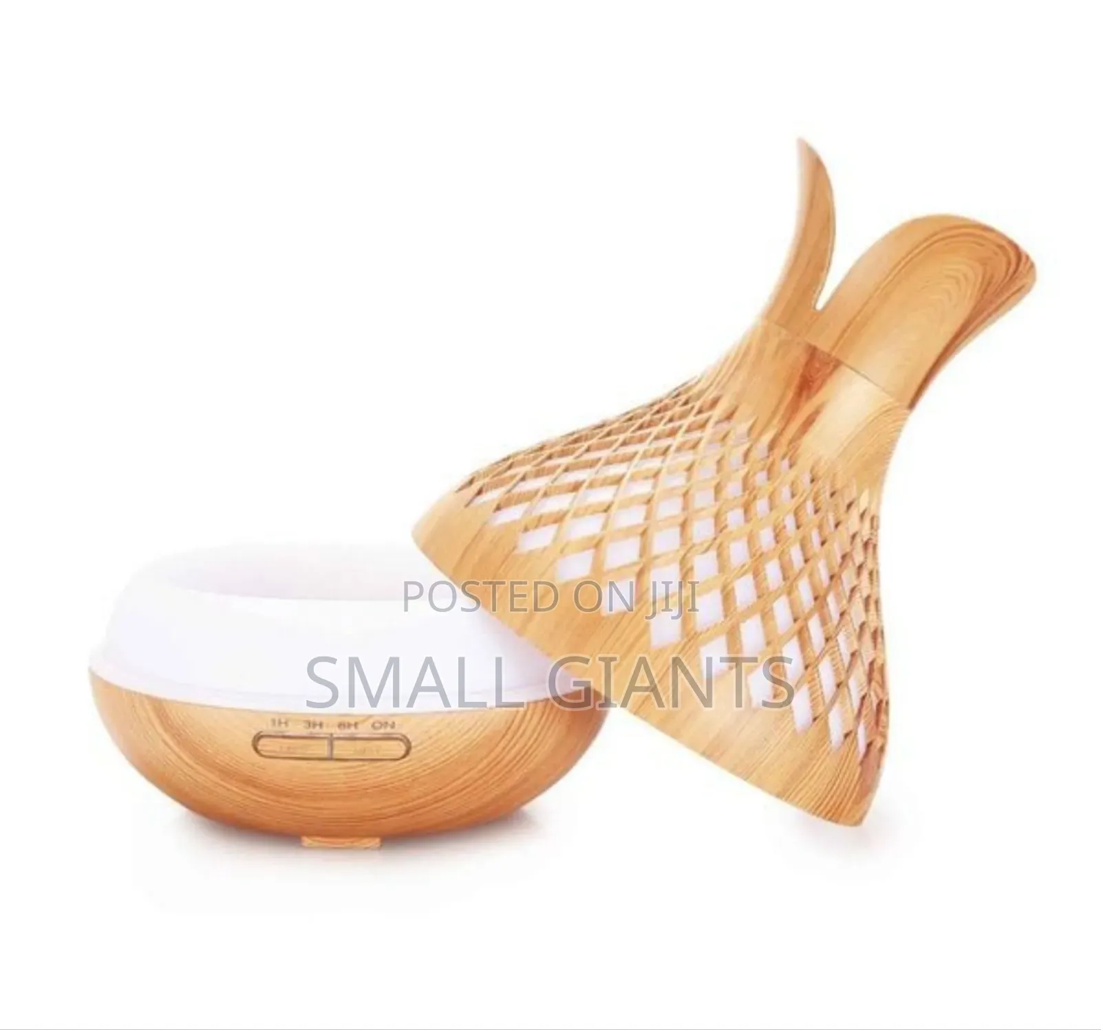 Essential Oil Aroma Diffuser Remote-Vase Flower Humidifier