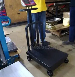 TCS Weighing Scale Digital Weigh 600kg Industrial Weighing Scale