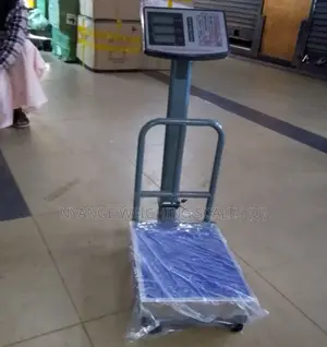 Stainless Weigh Scale Price Computing Weigh Digital Weighing Scale