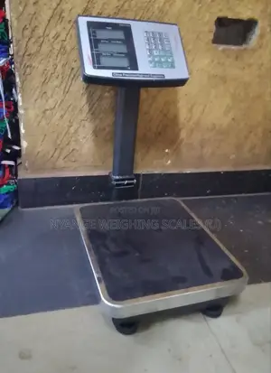 High Precision Weighing Scale Digital Weighing Scale