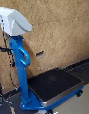 High Precision Weigh Scale A12 Weigh Digital Platform Weighing Scale