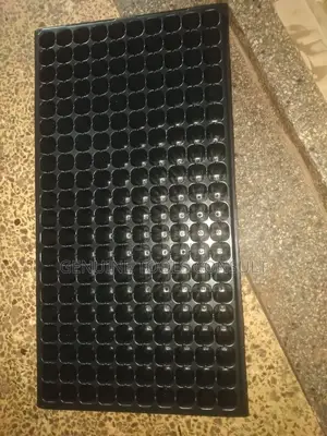 Seedling Trays