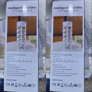 Night Light Humidifier