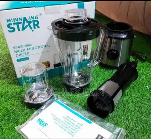 Winning Star Electric Juicer