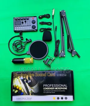 Professional Music Studio MIC Podcast Recording Microphone