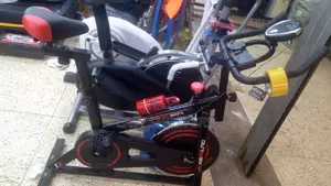 The Kemilng Sport Spin Bike
