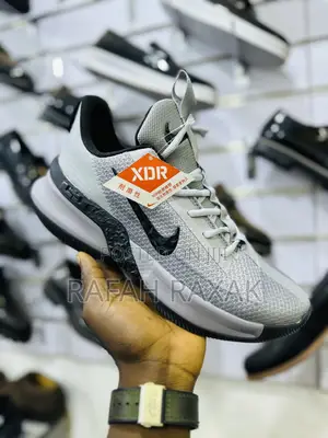 Nike Lebron Ambassador 13 Grey/Black Basketball Sneakers