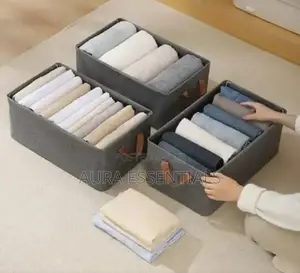Multi-Purpose Foldable Wardrobe Organizer (1pc)