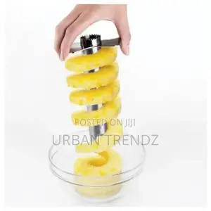 Easy Slice Pineapple Slicer/Peeler and Corer - Silver