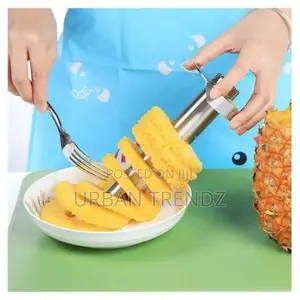 Easy Slice Pineapple Slicer/Peeler and Corer - Silver
