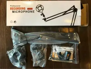 Professional Recording Stand Microphone