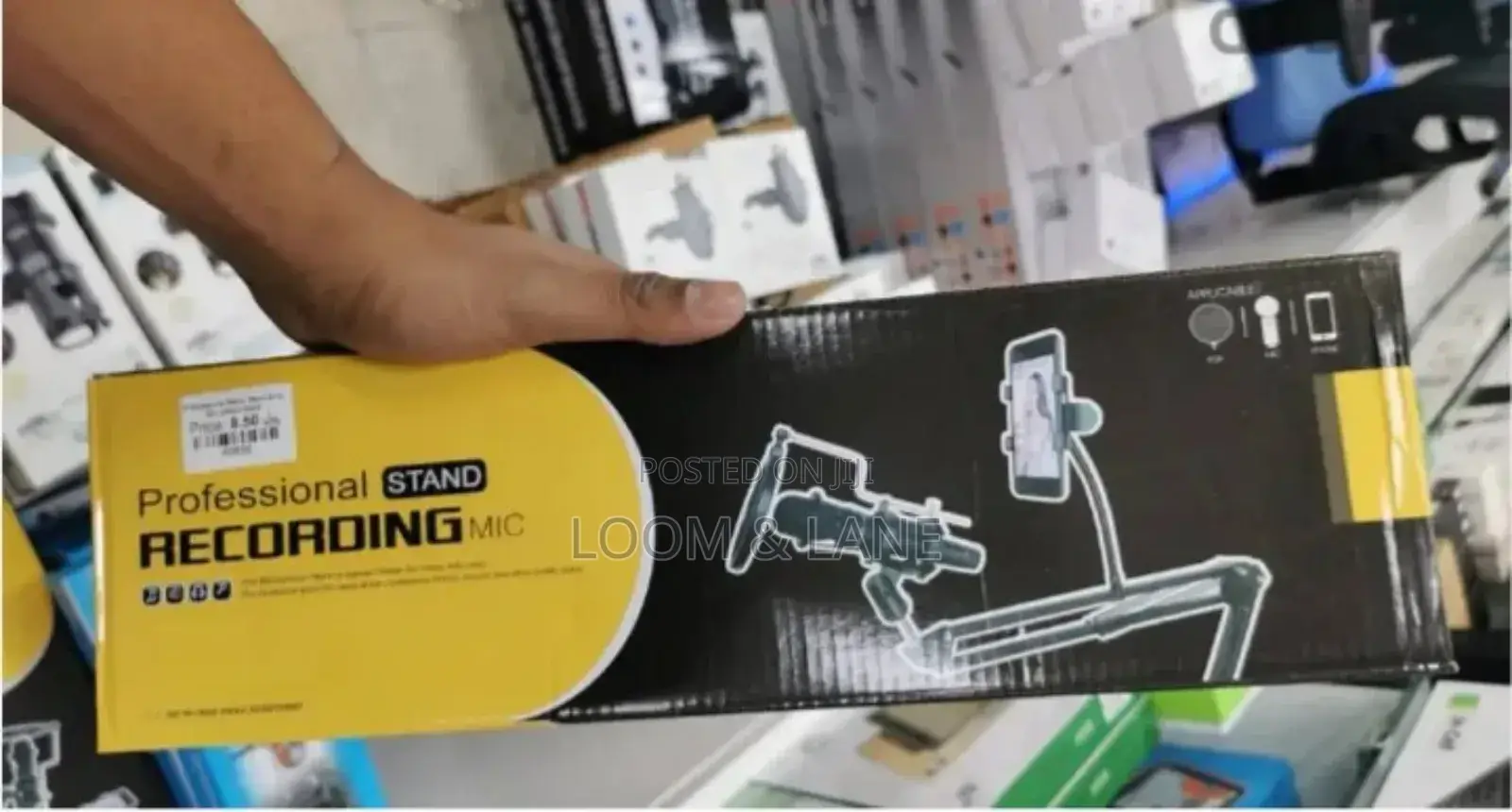 Professional Recording Stand Microphone
