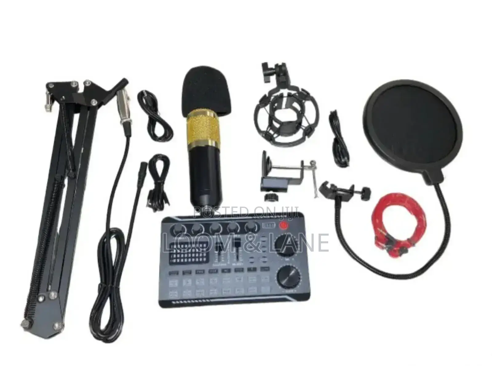 Professional Condenser Microphone Recording Set