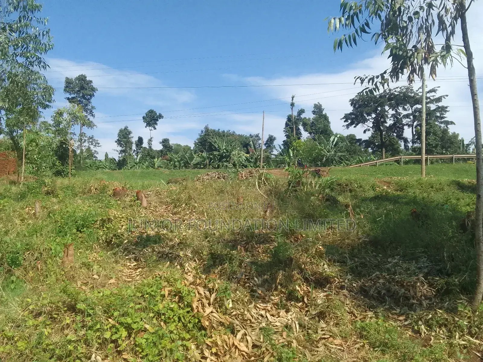Land for Rent