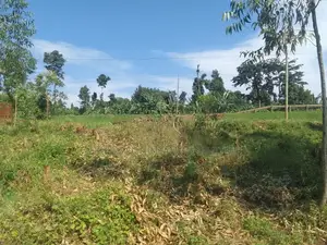 Land for Rent