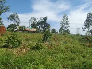 Land for Rent