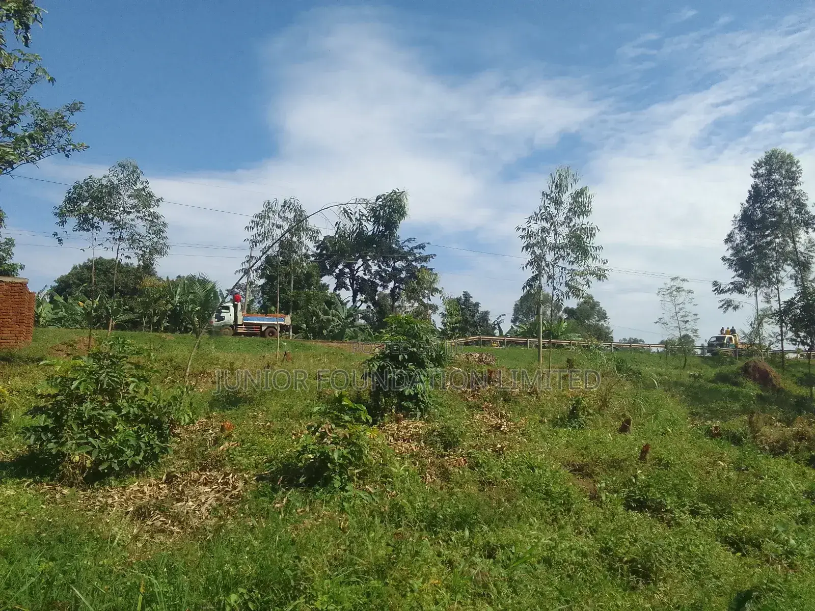 Land for Rent