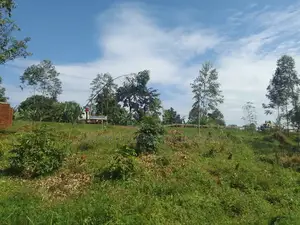 Land for Rent