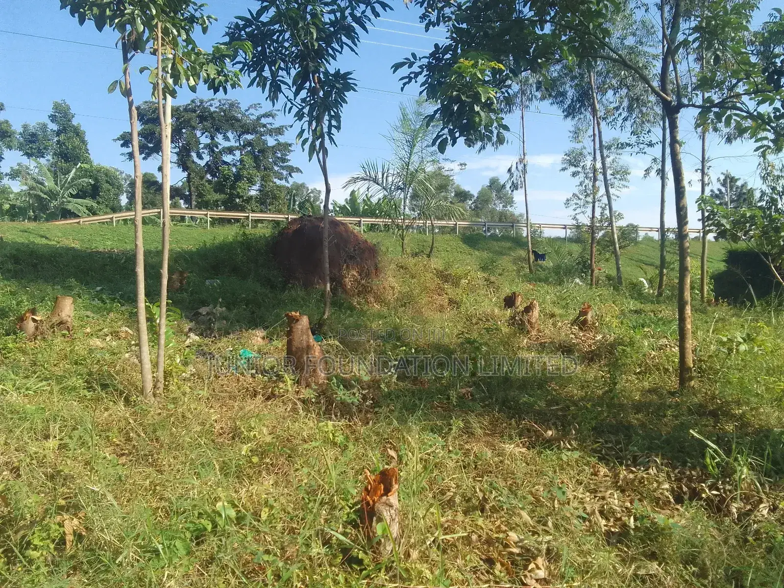 Land for Rent