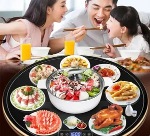 Generic Intelligent 360 Rotating Electric Food Warmer Plate