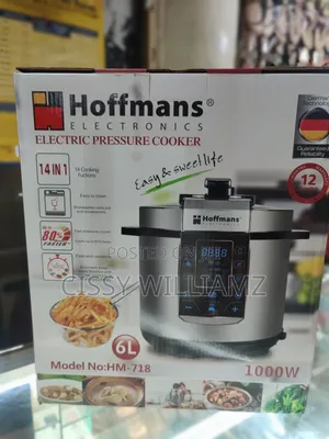 Electric Pressure Cooker 6l/Stainless Steel Pressure Cooker