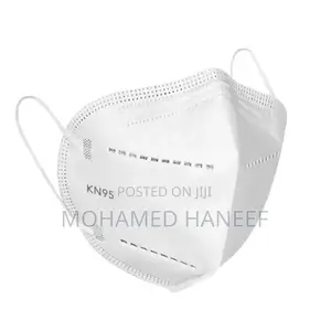 KN95 Face Mask