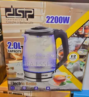 DSP Electric Kettle