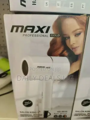Portable Maxi Hair Dryer