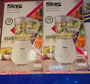 2in1 DSP Electric Blender KJ2002