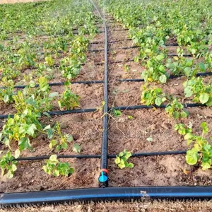 Irrigation Systems