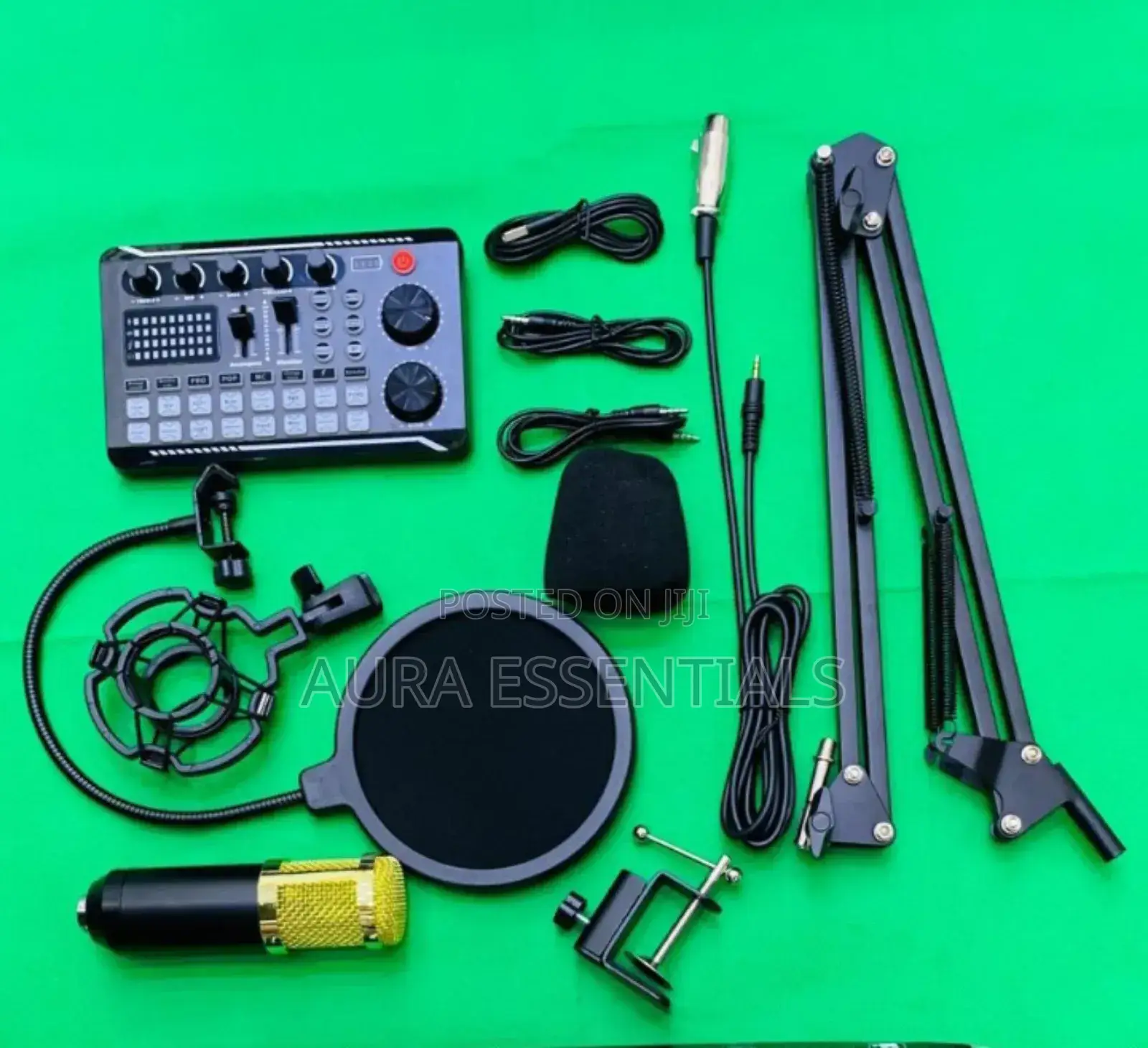 Legendary Vocal Condenser Microphone