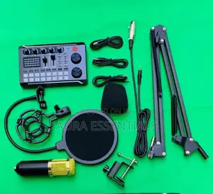 Legendary Vocal Condenser Microphone