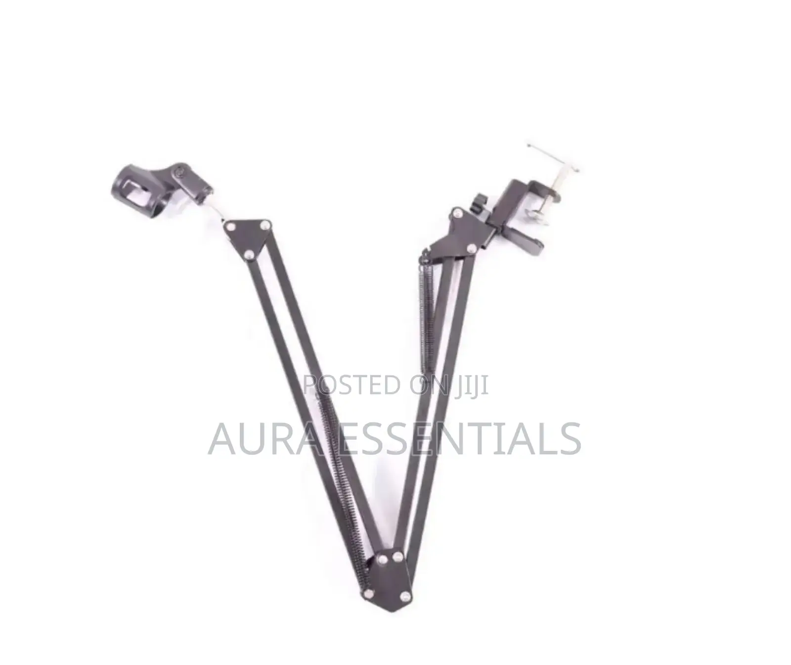 Professional Microphone Stand
