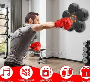 New Smart Bluetooth Music Boxing Machine