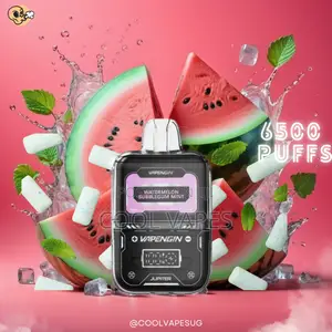 Vapengin 6500 Puffs Pod Vapes