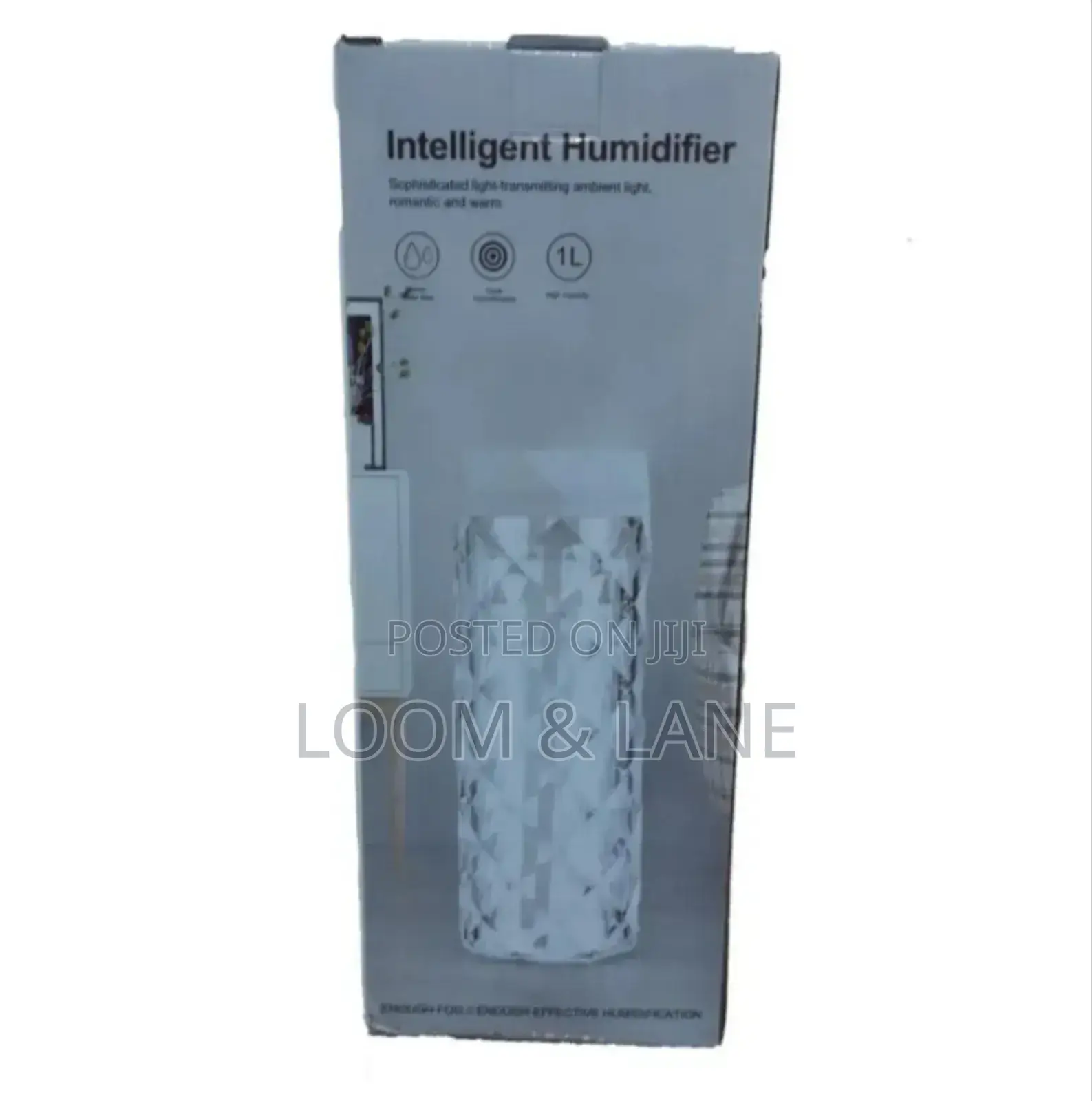 1litre Intelligent Humidifier