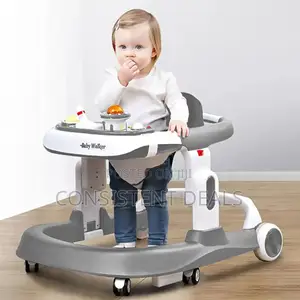High Class Baby Walker
