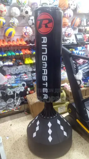 Ring Master Self Standing Punching Bag