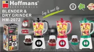 2in1 Hoffmans Blender and Dry Grinder (HM-2072)
