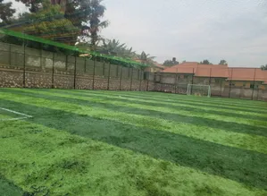 Turf Field Grass Carpet Grass Carpet
