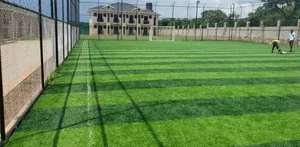 Turf Field Grass Carpet Grass Carpet