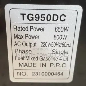 Portable Generator TG950DC
