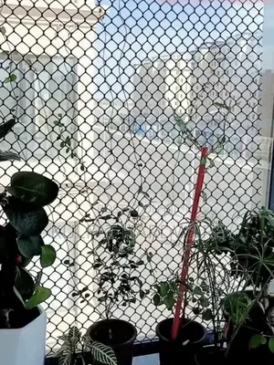 Plastic Chain Link Grey Mesh