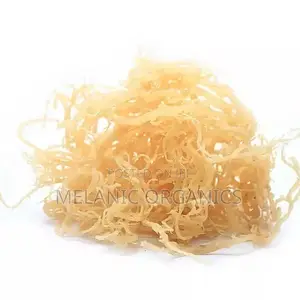 Wild Crafted Raw Seamoss ( Raw) 100gm