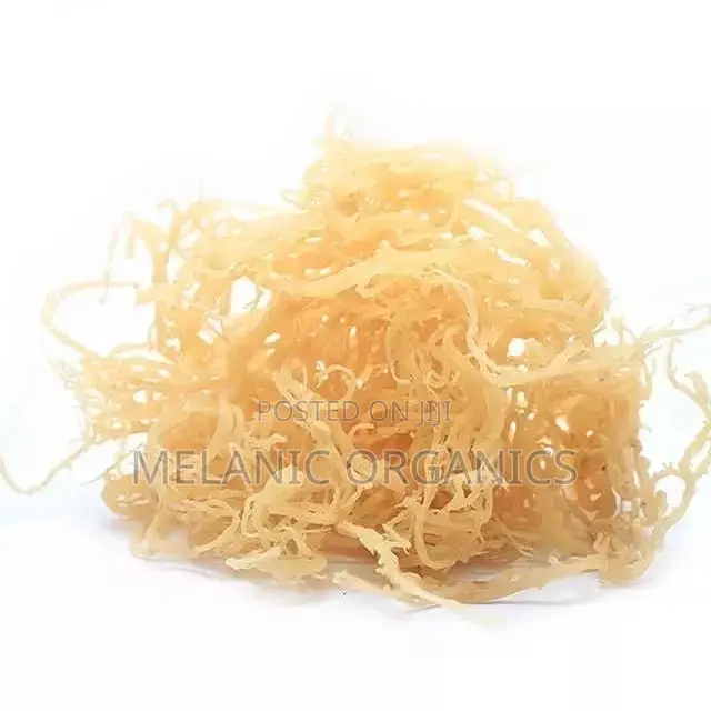 Wild Crafted Raw Seamoss ( Raw) 100gm